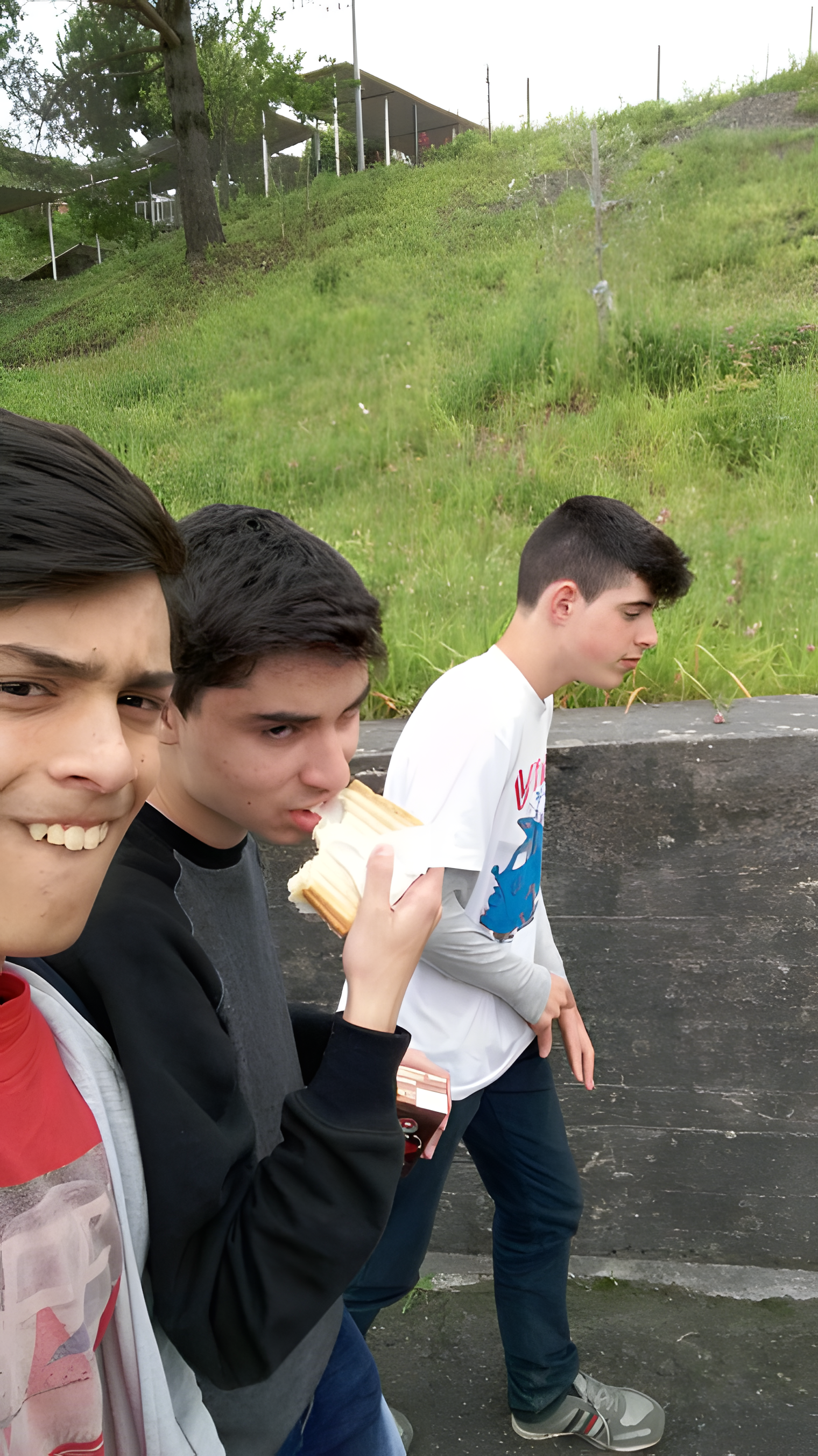 Sobreira4.png realesrgan x4plus